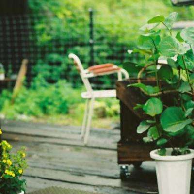 双赢彩票官方下载